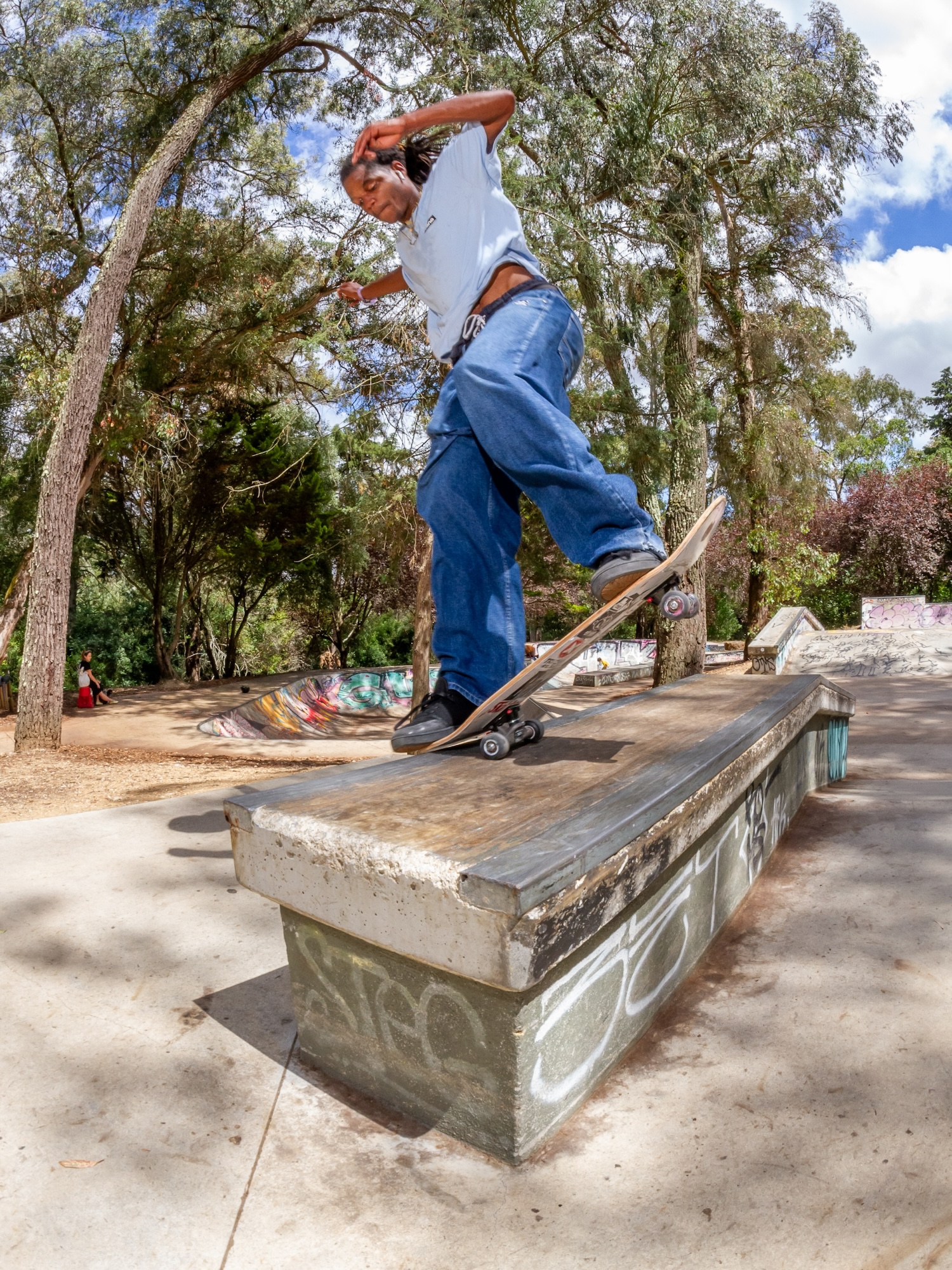 Monsanto skatepark